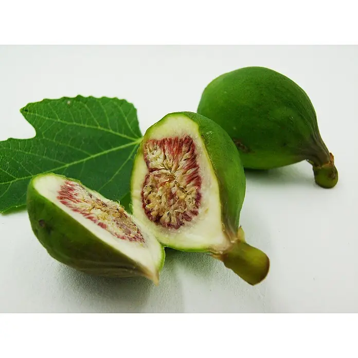 Blu Bio Feigenbaum - Ficus carica, Topfgröße: 12 cm, Erntezeit: Juli - Nahaufnahme von grünen Feigen, eine halbiert, mit Blatt. Zeigt das saftige Innere der Feigen, ideal für gesunde Rezepte.