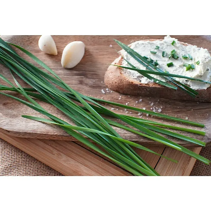 Blu Bio Schnittknoblauch - Allium tuberosum, Topfgröße: 12 cm - Nahaufnahme von Schnittlauch, Knoblauch und einem Brot mit Frischkäse auf einem Holztisch. Ein köstliches und frisches Gericht.