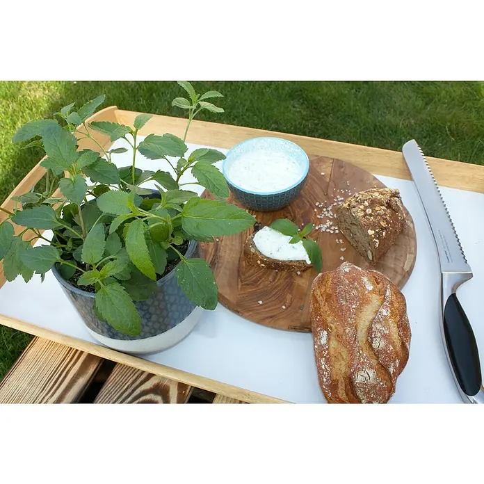 Blu Bio Pfeffer-Salbei - Salvia uliginosa, Topfgröße: 12 cm - Ein köstlicher Brotaufstrich mit frischen Kräutern und Brot auf einem Holzteller, serviert auf einem Tablett neben einer Kräuterpflanze und Messer.