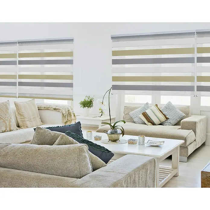 Estor noche y día Duolux - An x Al: 60 x 180 cm, Multicolor - Salón moderno con elegantes persianas enrollables horizontales que ofrecen una agradable filtración de luz.