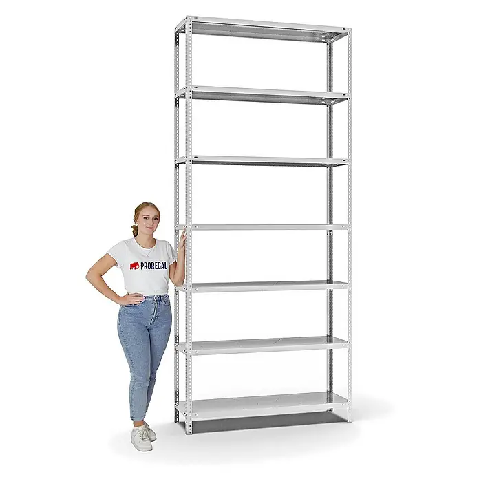 Proregal Metallregal MAGNUS Schraubsystem - H x B x T: 300 x 130 x 40 cm, Traglast pro Boden: 125 kg, Anzahl Böden: 7 Stk., Schrauben, Lichtgrau