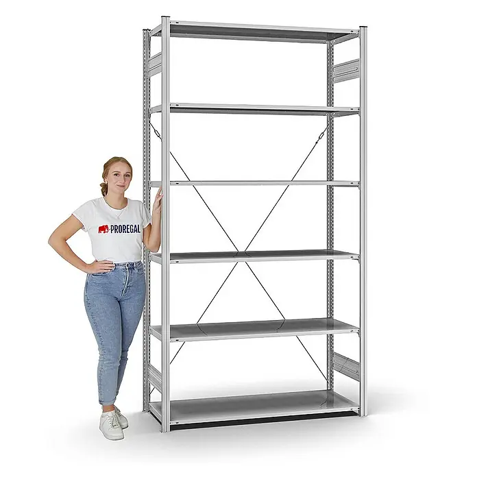 Proregal Metallregal MAGNUS Stecksystem - H x B x T: 250 x 130 x 50 cm, Traglast pro Boden: 100 kg, Anzahl Böden: 6 Stk., Stecken, Verzinkt