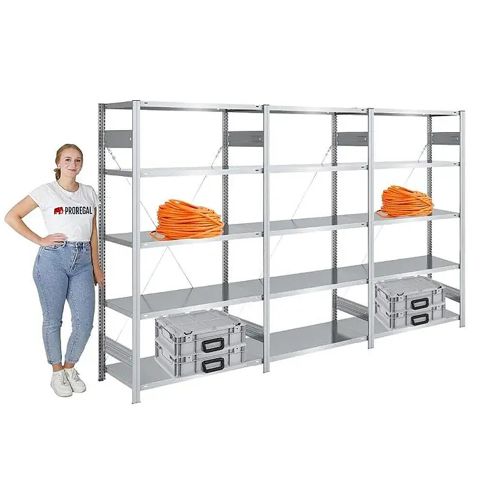 Proregal Metallregal SILVER MAMBA - H x B x T: 200 x 300 x 50 cm, Traglast pro Boden: 150 kg, Anzahl Böden: 5 Stk., Stecken, Verzinkt