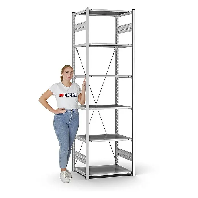 Proregal Metallregal MAGNUS Stecksystem - H x B x T: 250 x 75 x 50 cm, Traglast pro Boden: 125 kg, Anzahl Böden: 6 Stk., Stecken, Verzinkt