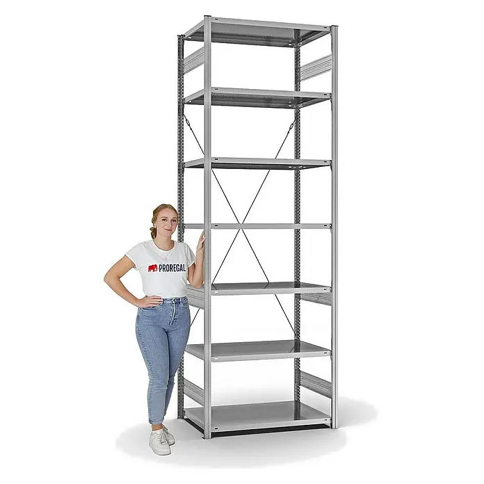Proregal Metallregal MAGNUS Stecksystem - H x B x T: 300 x 100 x 60 cm, Traglast pro Boden: 140 kg, Anzahl Böden: 7 Stk., Stecken, Verzinkt