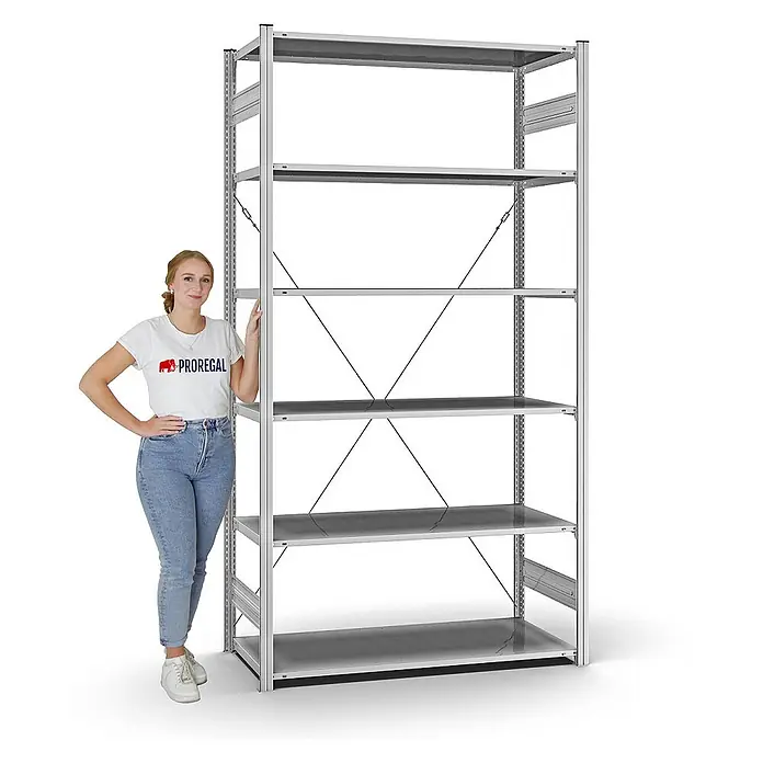 Proregal Metallregal MAGNUS Stecksystem - H x B x T: 250 x 130 x 60 cm, Traglast pro Boden: 110 kg, Anzahl Böden: 6 Stk., Stecken, Verzinkt