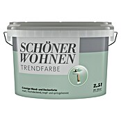 Schöner Wohnen Wandfarbe Trendfarbe Limited Collection (Spa, 2,5 l, Matt)