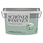 Schöner Wohnen Wandfarbe Trendfarbe Limited Collection (Spa, 1 l, Matt)