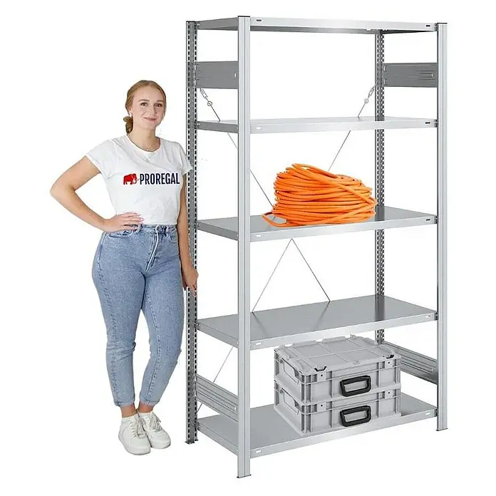 Proregal Metallregal SILVER MAMBA - H x B x T: 200 x 100 x 50 cm, Traglast pro Boden: 150 kg, Anzahl Böden: 5 Stk., Stecken, Verzinkt