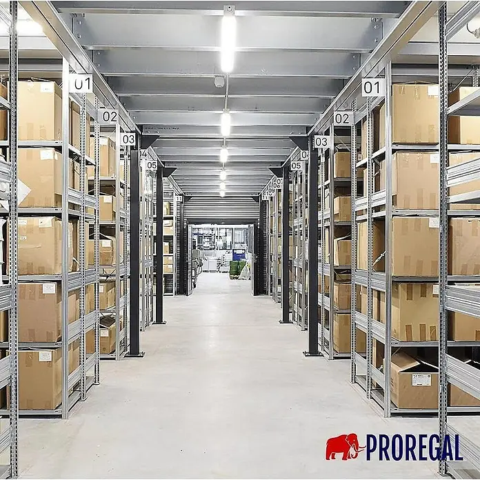 Proregal Metallregal SILVER MAMBA - H x B x T: 200 x 100 x 50 cm, Traglast pro Boden: 150 kg, Anzahl Böden: 5 Stk., Stecken, Verzinkt