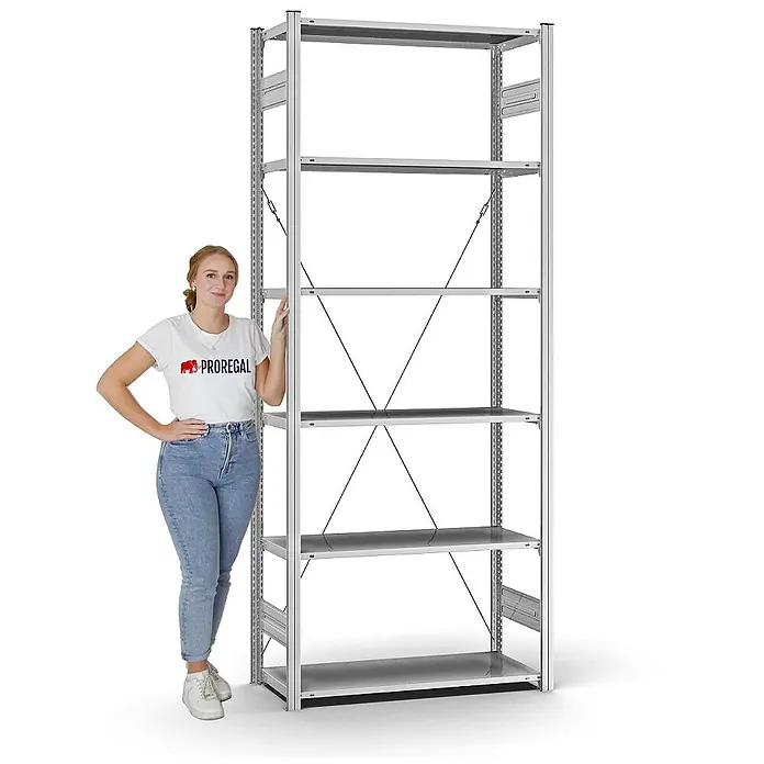 Proregal Metallregal MAGNUS Stecksystem - H x B x T: 250 x 100 x 40 cm, Traglast pro Boden: 125 kg, Anzahl Böden: 6 Stk., Stecken, Verzinkt