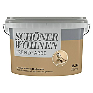 SCHÖNER WOHNEN-Farbe Wandfarbe Trendfarbe (Macchiato, Matt, 2,5 l, Konservierungsmittelfrei)