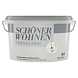 SCHÖNER WOHNEN-Farbe Wandfarbe Trendfarbe (Pearl, Matt, 5 l, Konservierungsmittelfrei)