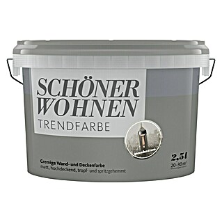 SCHÖNER WOHNEN-Farbe Wandfarbe Trendfarbe (Manhattan, Matt, 2,5 l, Konservierungsmittelfrei)
