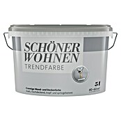 SCHÖNER WOHNEN-Farbe Wandfarbe Trendfarbe (Dreamy, Matt, 5 l, Konservierungsmittelfrei) | BAUHAUS