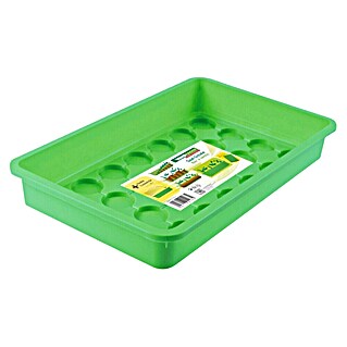 Windhager Kweekschaal (38 x 24 x 6 cm, Groen)