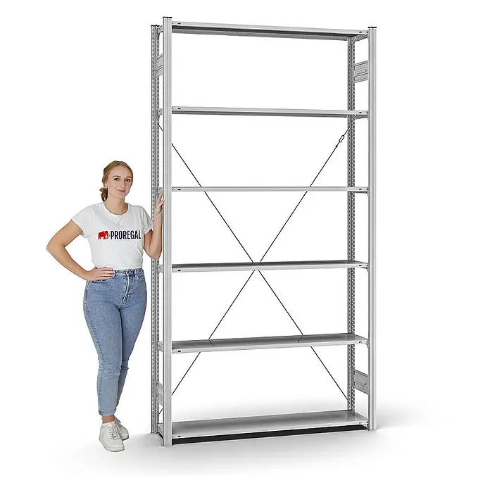 Proregal Metallregal MAGNUS Stecksystem - H x B x T: 250 x 130 x 30 cm, Traglast pro Boden: 90 kg, Anzahl Böden: 6 Stk., Stecken, Verzinkt