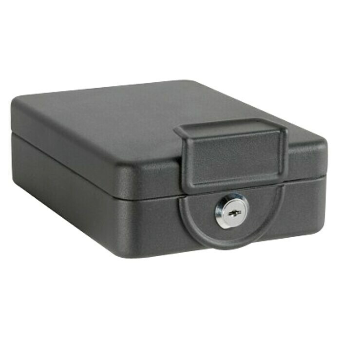 Arregui Caja de caudales Private C-9427 (L x An x Al: 20,3 x 15 x 6,5 cm, Negro)