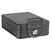 Arregui Caja de caudales Private C-9427 (L x An x Al: 20,3 x 15 x 6,5 cm, Negro)