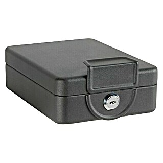 Arregui Caja de caudales Private C-9427 (L x An x Al: 20,3 x 15 x 6,5 cm, Negro)