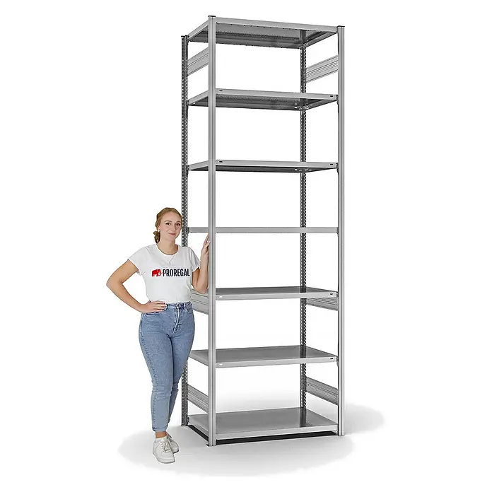 Proregal Metallregal MAGNUS Stecksystem - H x B x T: 300 x 100 x 60 cm, Traglast pro Boden: 140 kg, Anzahl Böden: 7 Stk., Stecken, Verzinkt