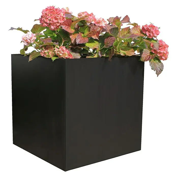 Palatino Exclusive Line Pflanzkasten Nora - 60 x 60 x 60 cm, Anthrazit - Ein quadratischer, schwarzer Pflanzkasten mit rosa Hortensien, ideal für stilvolle Gärten und Terrassen. Robuster Pflanzkübel für den Außenbereich.