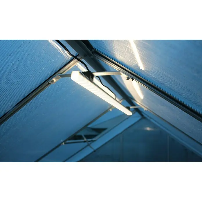 Vitavia Gewächshaus Set Uranus 8300 - Außenmaß inkl. Dachüberstand (B x T): 257 x 321 cm, 3 mm, Schwarz - Aufnahme eines Innenraums mit einer LED-Wachstumslampe, die von der Decke eines Gewächshauses hängt und für Pflanzen sorgt.