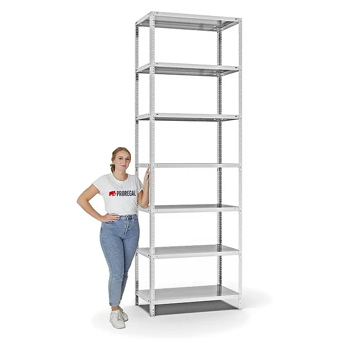 Proregal Metallregal MAGNUS Schraubsystem - H x B x T: 300 x 100 x 50 cm, Traglast pro Boden: 125 kg, Anzahl Böden: 7 Stk., Schrauben, Lichtgrau