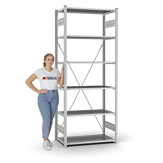 Proregal Metallregal MAGNUS Stecksystem - H x B x T: 250 x 100 x 50 cm, Traglast pro Boden: 125 kg, Anzahl Böden: 6 Stk., Stecken, Verzinkt