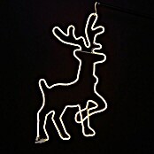 Tween Light Luz de Navidad LED Reno (480 x 0,2 W, An x Al: 40 x 63,5 cm, Longitud del cable: 1,5 m)