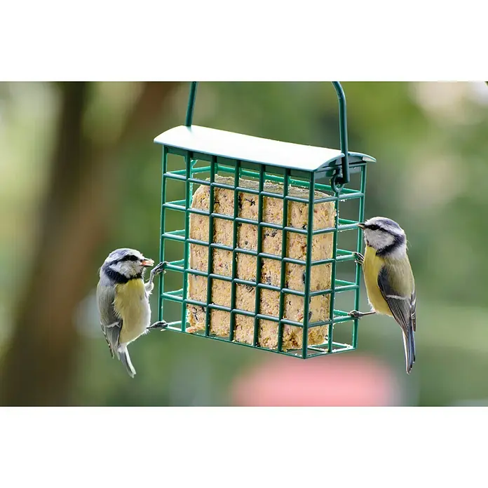 Dobar Wildvogelfutter Set8 Stk., Mit Futterspender - Zwei Blaumeisen picken an einem Futterhaus mit Meisenknödeln, das an einem grünen Metallbügel hängt.