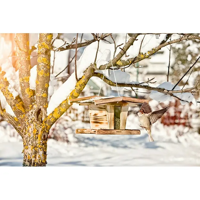 Windhager Vogelhaus - 31,5 x 24,5 x 19,5 cm, Holz, Natur - Ein hölzernes Vogelhaus hängt an einem Baum voller Schnee, während ein kleiner Vogel im Winter zum Futterhaus fliegt.