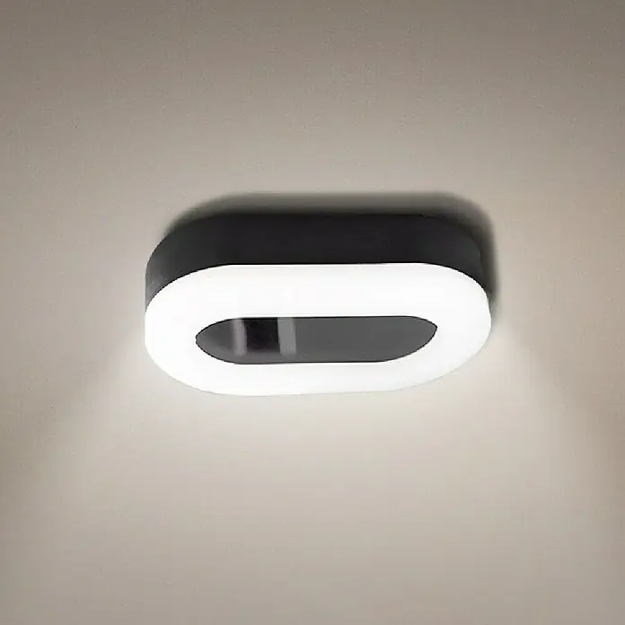 Lavida LED-Außenwandleuchte Oval - 11 W, 4,2 x 11,3 x 19 cm, Schwarz, IP65 - Moderne ovale LED-Deckenleuchte mit schwarzem Rahmen und hellem, diffusem Licht für eine stilvolle Beleuchtung im Raum.