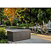 Keter Baúl para jardín Tonga (L x An x Al: 145 x 73 x 64 cm, Marrón, Plástico) | BAUHAUS
