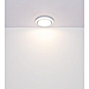 Globo LED-Deckenleuchte rund Foppa (24 W, Ø x H: 40 x 7 cm, Schwarz, Weiß) | BAUHAUS
