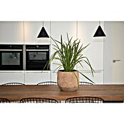 Maceta para planta Grea (Dimensiones externas (Ø x Al): 25 x 23 cm, Cerámica, Taupe) | BAUHAUS