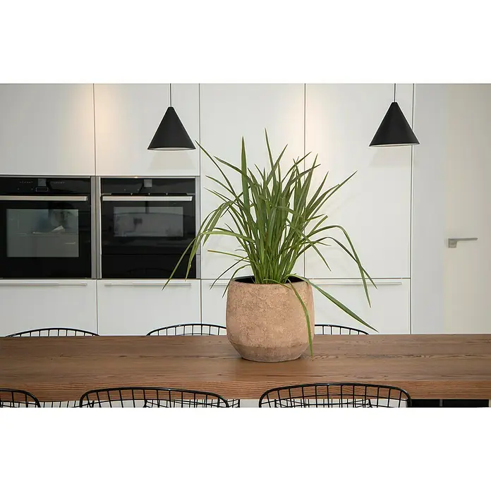 Maceta para planta Grea - Dimensiones externas (Ø x Al): 35 x 34 cm, Cerámica, Taupe - Planta de interior en una maceta rústica sobre una mesa de madera, con una decoración de cocina minimalista al fondo, acentuando el ambiente natural.