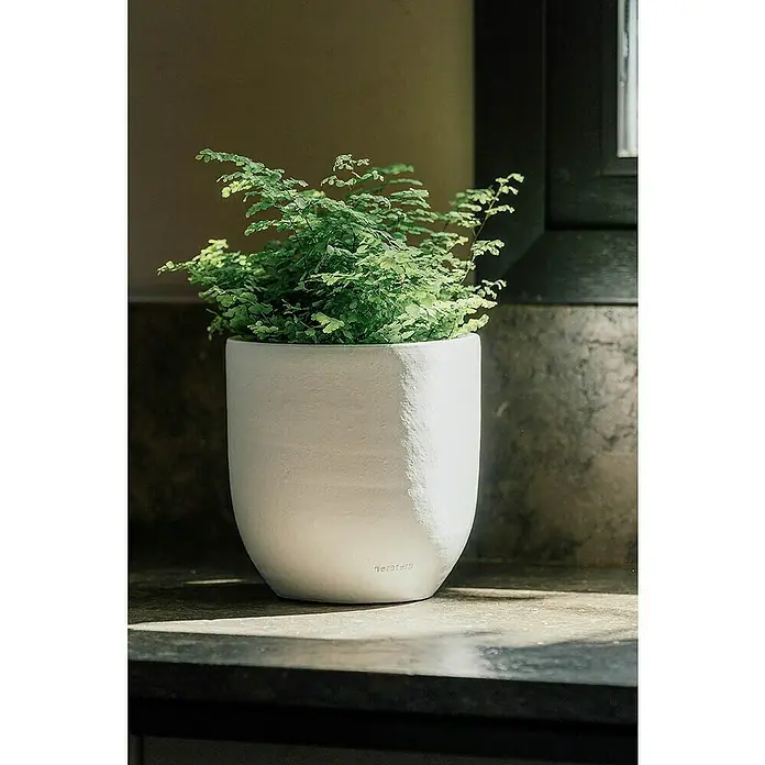 Maceta para planta Xat - Dimensiones externas (Ø x Al): 30 x 30 cm, Cerámica, Blanco - Planta de interior en una elegante maceta blanca, que añade un toque de calma a la habitación. La maceta tiene una textura sutil y forma redondeada.