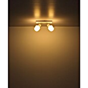 Globo Stropni reflektor Tokky  (40 W, Do x Š x V: 260 x 105 x 135 mm, Bela, E14) | Stropni reflektorji | Reflektorji in žarometi | Svetila | Elektro in svetila | Izdelki | BAUHAUS