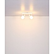 Globo Stropni reflektor Tokky  (40 W, Do x Š x V: 260 x 105 x 135 mm, Bela, E14) | Stropni reflektorji | Reflektorji in žarometi | Svetila | Elektro in svetila | Izdelki | BAUHAUS