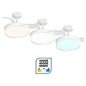 Arte confort Ventilador de techo Tivar S (Blanco, 91 cm, 30 W, Blanco cálido) | BAUHAUS
