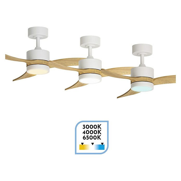 Arte confort Ventilador de techo Echo S (Blanco/Madera, 91 cm, 26,3 W, Blanco cálido) | BAUHAUS
