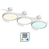 Arte confort Ventilador de techo Haze M (Blanco, 107 cm, 29,8 W, Blanco cálido) | BAUHAUS