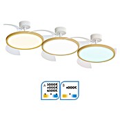 Arte confort Ventilador de techo Vetra M (Blanco/Madera, 107 cm, 29,8 W, Blanco cálido) | BAUHAUS