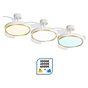 Arte confort Ventilador de techo Tuvan M (Blanco/Madera, 107 cm, 29,8 W, Blanco cálido) | BAUHAUS