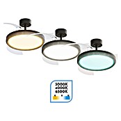 Arte confort Ventilador de techo Haze M (Negro, 107 cm, 29,8 W, Blanco cálido) | BAUHAUS