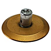 Heka Ruedecita de recambio TITAN (20 x 5 x 3 mm, Dorado, Eje incluido)