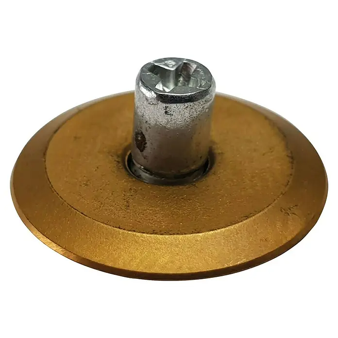 Heka Ruedecita de recambio TITAN - 20 x 5 x 3 mm, Dorado - Primer plano de un disco metálico dorado con un perno central y una cabeza de tornillo, ideal para proyectos industriales o DIY.
