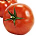 Piardino Tomate Imagine Maxi 