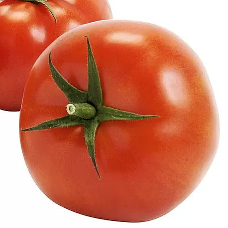 Piardino  Tomate Imagine Maxi